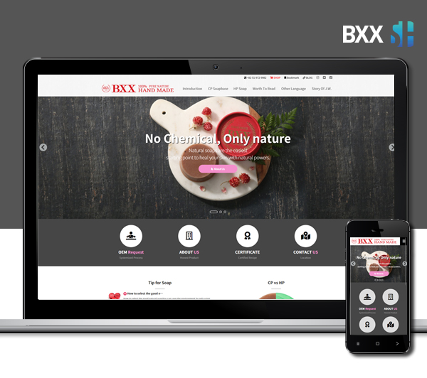 김해홈페이지제작 BXX