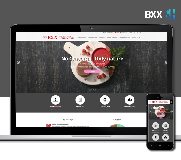 김해홈페이지제작 BXX