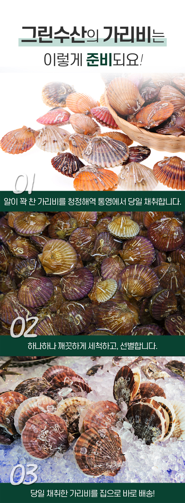 greensusan_1_02.jpg