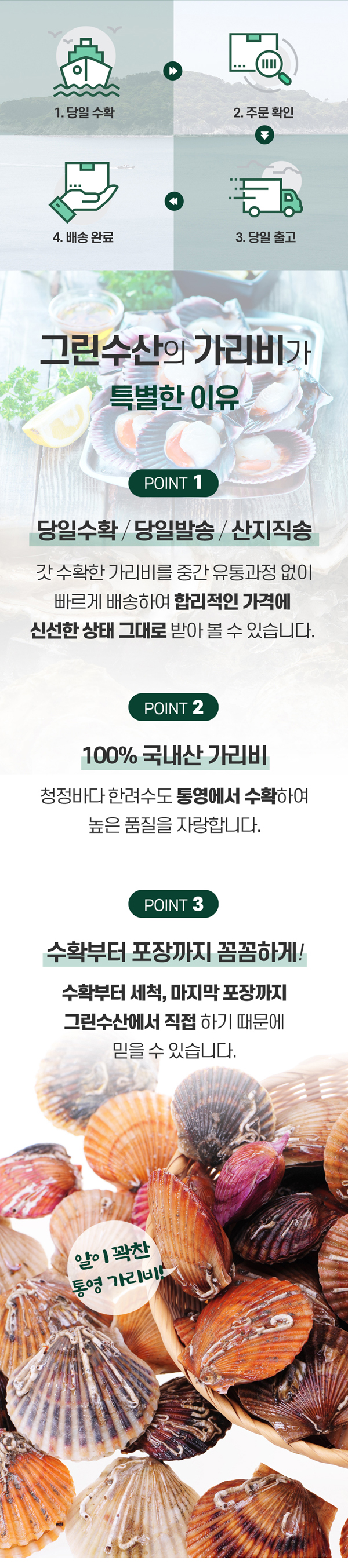greensusan_1_03.jpg